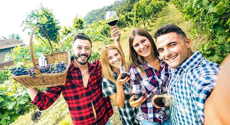 Vier lächelnde Freunde in karierten Hemden halten Gläser mit Rotwein und einen Korb mit Weintrauben in den Händen und machen an einem sonnigen Tag gemeinsam ein Selfie in einem grünen Weinberg.