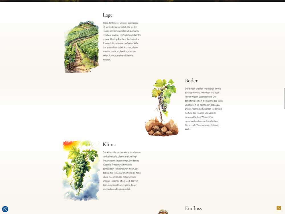 Eine deutschsprachige Infografik zeigt Illustrationen von Weinbergen, eine Weintraube sowie Text zu Standort-, Boden- und Klimafaktoren, die die Weinproduktion beeinflussen. Der Hintergrund ist hell und mit farbenfrohen Akzenten versehen.