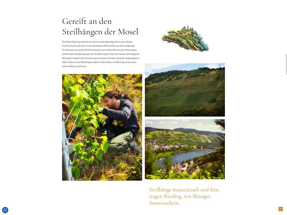Eine Winzerin erntet Trauben an einem steilen Weinberghang; drei kleinere Bilder zeigen terrassierte Weinberge und einen Fluss, der sich unter teilweise bewölktem Himmel durch die Landschaft schlängelt – ein Bild, das die Tradition und Leidenschaft widerspiegelt, die in jeder Flasche unseres Online-Shops steckt.